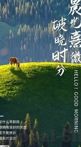 77成人影院视频在线观看-77成人影院视频，网络时代的隐秘角落