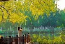 91麻豆视频国产-91麻豆视頻——国产影像艺术的多元视角与文化探讨