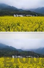 大象传媒邀请码-大象传媒，解锁数字娱乐新体验的邀请码之旅