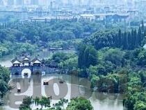 麻豆123视频-麻豆123视频，网络文化的多棱镜与视觉体验的深度探索