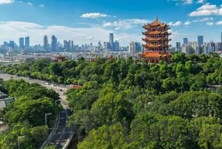 麻豆传媒91av-麻豆传媒91AV的媒体生态与潜在影响分析
