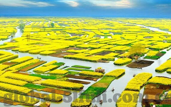 麻豆文化传媒精品幻星辰-麻豆文化传媒精品幻星辰的深远影响