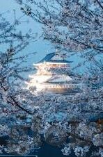 中文字幕乱偷在线视频-探索中文字幕在在线视频中的非法行为——乱偷现象的反思