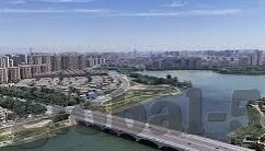 中文字幕在线播放理论片-探索中文字幕在线播放理论片，文化与教育的桥梁